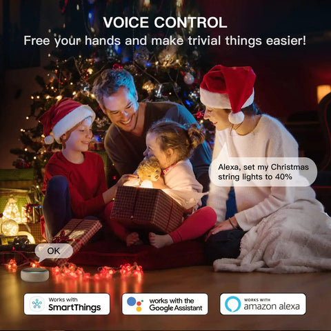 Family using Outdoor Smart Dimmer Plug With Alexa And Google Home Control to dim Christmas lights by tree