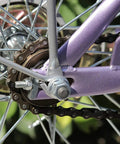 Close-up of a Single Speed Bike Chain For Fixed Gear And Mountain Bikes One Half By One Eighth Inch 116 Links Tough As Nails on rear wheel