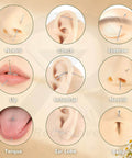 Image of various body piercings including nostril, conch, eyebrow, lip, industrial, tongue, ear lobe, and belly with piercing tapers.