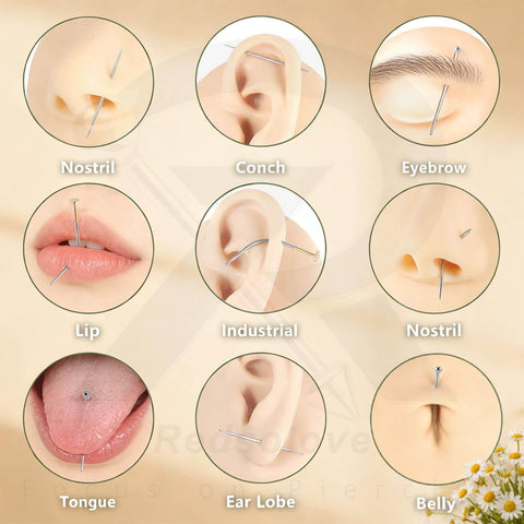 Image of various body piercings including nostril, conch, eyebrow, lip, industrial, tongue, ear lobe, and belly with piercing tapers.