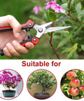 Workhorse Pruning Shears With Stainless Steel Blades And Ergonomic Non Slip Handles For Sharp Fast Cuts On Fruits Vegetables Flowers And Plants 8.1 Inch Garden Pruner For Easy Harvest in use on plant