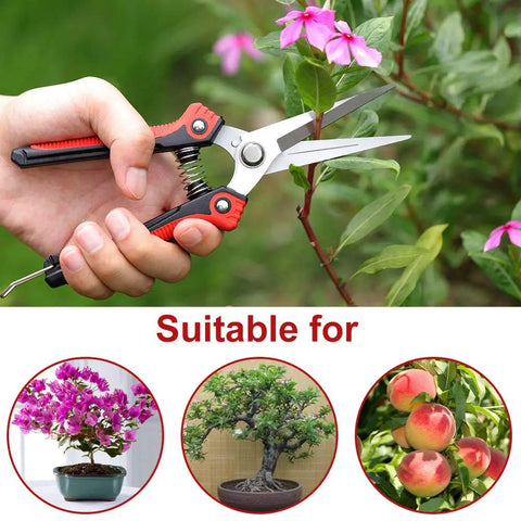 Workhorse Pruning Shears With Stainless Steel Blades And Ergonomic Non Slip Handles For Sharp Fast Cuts On Fruits Vegetables Flowers And Plants 8.1 Inch Garden Pruner For Easy Harvest in use on plant