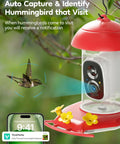 Hummingbird Feeder With Camera For Outdoors Solar Powered 2K Live Video AI Bird ID Ant Guard Base Bee Proof With 3 Feeding Ports Smart Bird Watching Gift