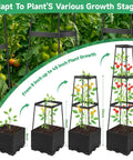 2 Pack Tomato Planter Pots With Raised Bed Trellis And 45 Inch Climbing Cages showing plant growth stages with measurements