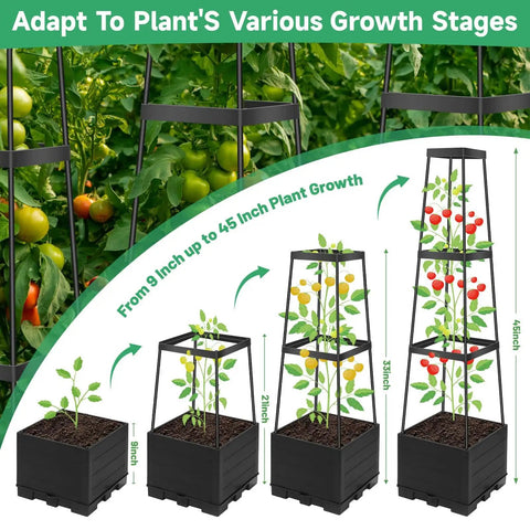 2 Pack Tomato Planter Pots With Raised Bed Trellis And 45 Inch Climbing Cages showing plant growth stages with measurements