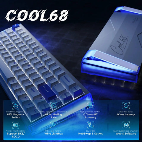 65 Percent Layout Hall Effect Magnetic Switch Mechanical Gaming Keyboard With 8000Hz Polling Rate sleek design with blue LED backlighting.