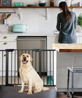 Extra Wide Walk Through Pet Gate With Auto Close, Kid Friendly And Pet Safe, Durable Metal Gate for kitchen doorway with dog