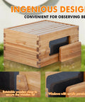 8 Frame Deep Langstroth Beehive Kit with Clear Window Panels showing wooden frames and acrylic windows for beekeeping pros.