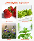 Strawberries, lettuce, flowers, and herbs ready for Hydroponics Growing System Kit For Home Garden With 3 Tier 108 Sites UPVC Pipe Hydroponic Grow Kit Timed Irrigation Sun And Light Blocking Pipes Indoor Vegetable Herb Fruit Gardening Setup No Fuss.