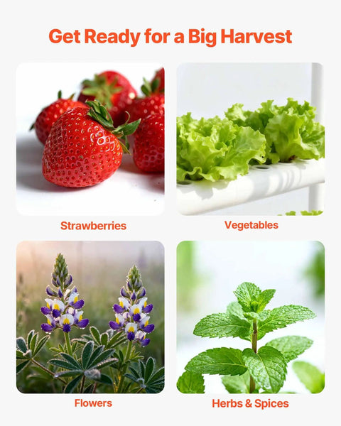 Strawberries, lettuce, flowers, and herbs ready for Hydroponics Growing System Kit For Home Garden With 3 Tier 108 Sites UPVC Pipe Hydroponic Grow Kit Timed Irrigation Sun And Light Blocking Pipes Indoor Vegetable Herb Fruit Gardening Setup No Fuss.