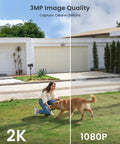 Comparison of 2K and 1080p quality with woman playing with dog captured by No Wires Battery Powered Wireless Outdoor Security Camera.