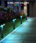 Low Voltage Outdoor LED RGBW Landscape Lights 12V 8W, 400LM Smart Path Lights illuminating a walkway with colorful light, 4 pack