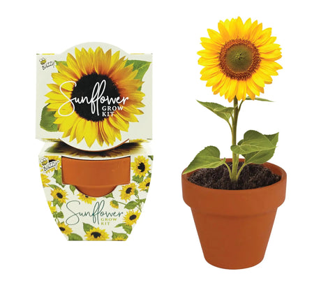 All In One Sunflower Mini Terracotta Pot Grow Kit 12 Pack For Indoor And Outdoor Gardens Seed Starter DIY Plant Project