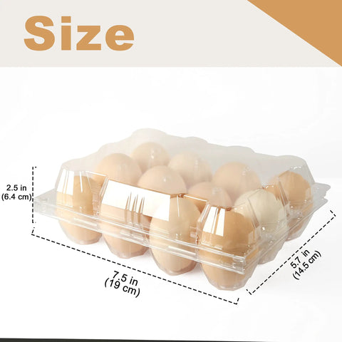 Clear Plastic Egg Cartons 50 Pack For 12 Eggs Each, Bulk Egg Storage Boxes; shown with eggs inside and size dimensions.