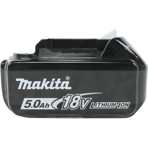 18V LXT 5.0Ah Lithium Ion Battery Pack, 10 Count, side view with branding and specifications visible