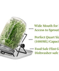 No Fuss All In One Sprouting Jar Kit With Wide Mouth Quart Mason Jars, Stainless Steel Sprout Lids on a stand and tray