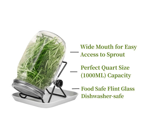 No Fuss All In One Sprouting Jar Kit With Wide Mouth Quart Mason Jars, Stainless Steel Sprout Lids on a stand and tray