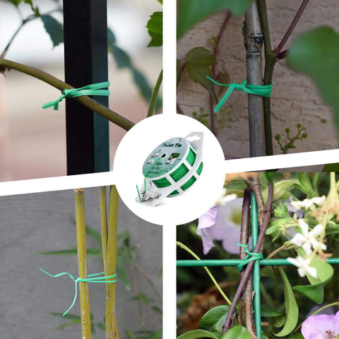 Heavy Duty All Purpose Coated Garden Ties With 328 Feet Of Trimmer Twine securing plants to various supports.