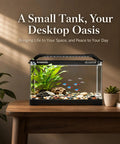 All In One 3.5 Gallon Betta Tank Starter Kit With Back Filter, Adjustable Pump, 25W Heater displayed on a wooden desk