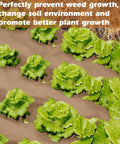 4 By 100 Feet Biodegradable Paper Weed Barrier For Landscaping in garden bed with leafy greens, promoting healthy growth