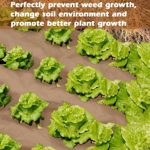 4 By 100 Feet Biodegradable Paper Weed Barrier For Landscaping in garden bed with leafy greens, promoting healthy growth