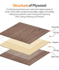 Exploded diagram of a plywood sheet showing face veneer, poplar core, back veneer and glue layers