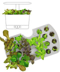 Seed Starting System For Harvest Models Indoor Garden Kit With Reusable Starter Tray And No Mess Soil Free Grow Sponges