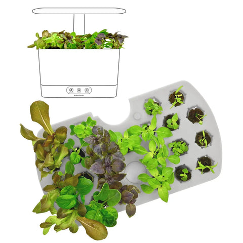 Seed Starting System For Harvest Models Indoor Garden Kit With Reusable Starter Tray And No Mess Soil Free Grow Sponges