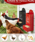 Automatic Gravity Fed Chicken Oyster Shell Feeder 2 Pack Large Capacity Grit Dispenser with black and red bins and chickens.