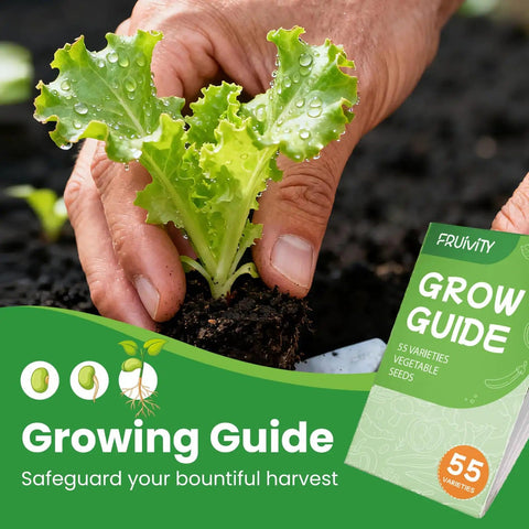 Gardener planting lettuce with Fruivity Grow Guide for 55 varieties of vegetable seeds