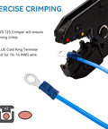 Must Have Blue Insulated Ring Terminal Kit For 16-14 AWG Wire Size Ten M5 Bolt Crimp