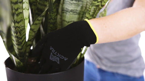Hand wearing Ultra Thin PU Safety Work Gloves 12 Pairs Black Large Model WG002 Lightweight Durable hand protection gardening plant