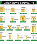 Brass Compression Sleeve Ferrule Kit 280Pcs Six Sizes 1/2 To 1/8 Inch Assortment With Nuts And Fittings Dimensions Chart