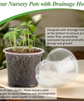 Clear Nursery Pots With Humidity Domes For Seedlings, 4-Inch plastic pots with drainage showing root growth and soil detail.