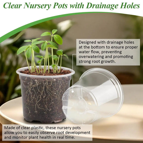 Clear Nursery Pots With Humidity Domes For Seedlings, 4-Inch plastic pots with drainage showing root growth and soil detail.