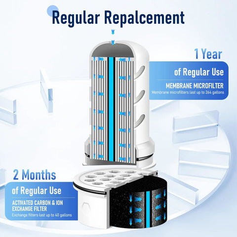 Diagram showing Water Filter Replacement For Lifestraw Home Dispenser And 18 Cup Glass Pitcher 7 Cup Plastic Pitcher with filter lifespan