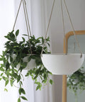 Cool White Hanging Planter Set, 8 Inch Indoor Outdoor Plant Pots With Drainage Hole, Pack Of 2 displayed with green foliage