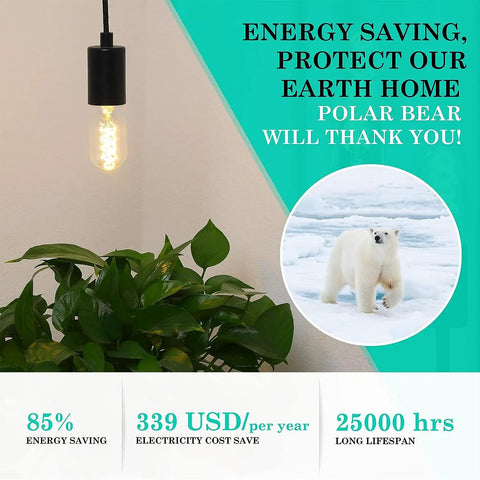 Vintage LED Edison Bulb With Ultra Thin Spiral Filament 2700K Cozy Warm White Glow illuminating room above plant
