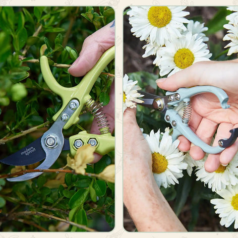Hand Pruners And Shears Set In Sage With Blister Pack Lightweight Garden Gear Easy Lock Sharp Carbon Steel Blades Rust Resistant For Herbs And Flowers Pruning Kit Pro Grade, shown in use on plants and daisies.