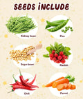 Illustration of six seed varieties: kidney bean, pea, soya-bean, radish, chili, carrot for Six Seed Varieties Kid Friendly Garden Kit For Hands On STEM Learning A Fun Hands On Science Project For Ages 5 7 8 12 Perfect Gift For Christmas Easter Birthday And School Gardening.