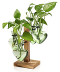 Colorful Glass Plant Terrarium Propagation Stations with Wooden Stand Glass Vase, heart-shaped, holding green plants on display