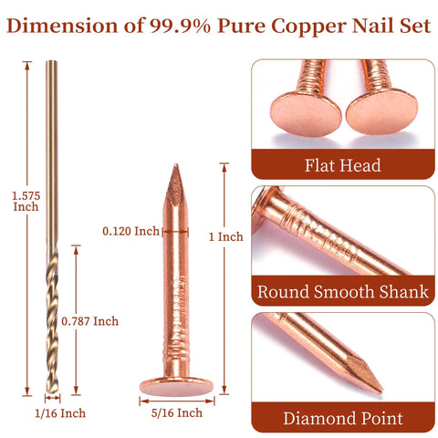 Image showing 120 Pcs Copper Nails 1 Inch With 1/16 Inch Drill Bit 99.95 Percent Pure Copper Roofing Nails dimensions and features.