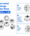 Top Shelf Hex Serrated Flange Lock Nuts 6 Pack M10 X 1.25mm Fine Pitch Metric Fasteners Built Tough From Knockout 304 Stainless Steel, showing hexagonal design and serrated edges.