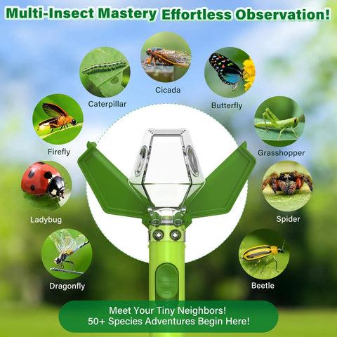 Bug Hunter Kit With 6X Magnifier Glass For Indoor Outdoor STEM Exploration Kids Friendly Bug Catcher Tool With One Hand Thumb Slide Easy Operation Ideal Gift For Boys Girls And Adults Green showcasing insect observation.