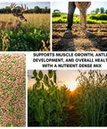Pea and Oat Cover Crop Mix For Deer Go To Food Plots Non GMO Annual Nitrogen Fixer Builds Soil Health - deers in field, seeds, planting