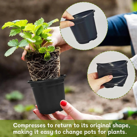 Hands holding a plant in a seedling pot next to two compressed 4 inch propagation containers with drainage holes.