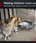 Hassle Free One Gallon Automatic Dog Water Dispenser Stainless Steel Self Filling Bowl with chickens near watering setup.