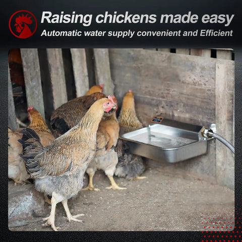 Hassle Free One Gallon Automatic Dog Water Dispenser Stainless Steel Self Filling Bowl with chickens near watering setup.