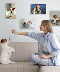 Woman with dog beside wall displaying 4 Pack Sublimation Glass Photo Blanks 11.8 Inch Long and 7.87 Inch Wide Wall Mount Frames.