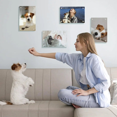 Woman with dog beside wall displaying 4 Pack Sublimation Glass Photo Blanks 11.8 Inch Long and 7.87 Inch Wide Wall Mount Frames.